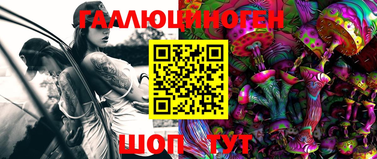 Псилоцибиновые грибы Cubensis Михайловка