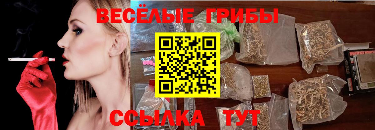 Псилоцибиновые грибы GOLDEN TEACHER  Вход с VPN  Псилоцибиновые грибы Cubensis  Михайловка 